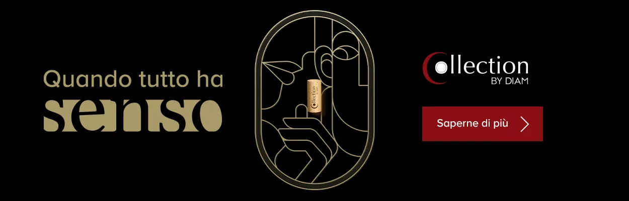 collection by diam header IT